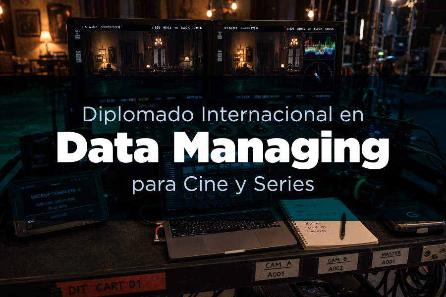 Diplomado Internacional en Data Managing para Cine y Series